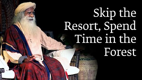 Skip the Resort, Spend Time in the Forest - Sadhguru..!