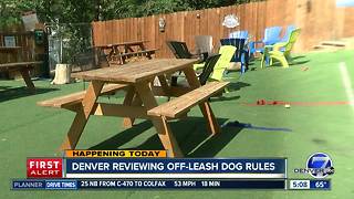 Denver reviewing off-leash dog rules