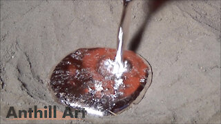 Casting a Carpenter Ant Colony with Molten Aluminum (Cast #042)
