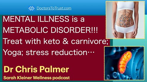 CHRIS PALMER 2 | MENTAL ILLNESS is METABOLIC DISORDER! use keto & carnivore;Yoga; stress reduction…