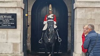 Horse goes for a walk #horseguardsparade