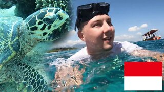 Swim With Me Through Gili Islands Tropical Waters