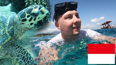 Swim With Me Through Gili Islands Tropical Waters
