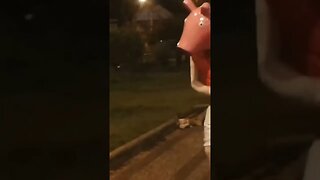 DANÇANDO PEPPA NA CARRETA DA ALEGRIA E PERTINHO DAS CRIANÇAS, LIKE