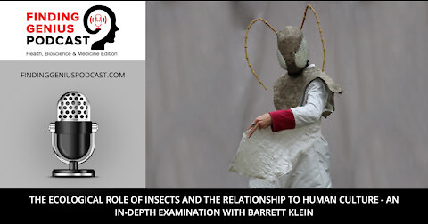 The Ecological Role of Insects and the Relationship to Human Culture