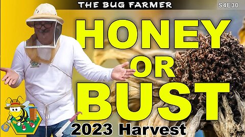 Honey or BUST | 2023 Honey Harvest. #beekeeping #bees #honey #beekeeping101 #honeybee