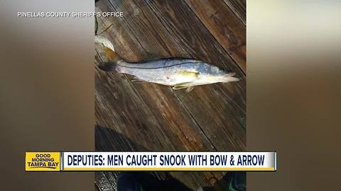 Two men arrested for trespassing to illegally harvest snook with compound bow