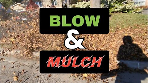 BLOW & MULCH ! • FALL Leaf Clean Up • Echo PB770T / Toro Recycler