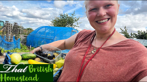 Harvest chat and overcoming fears.... ish... Allotment Garden