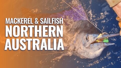 Epic mackerel and sailfish fishing in northern Australia plus massive sharks