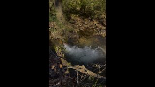 peaceful creek