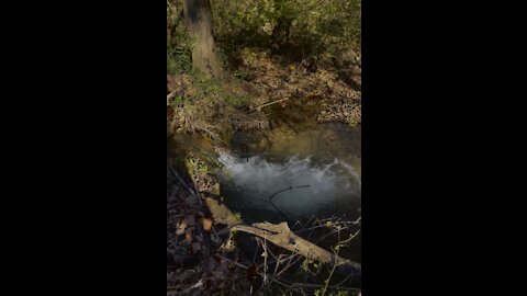 peaceful creek