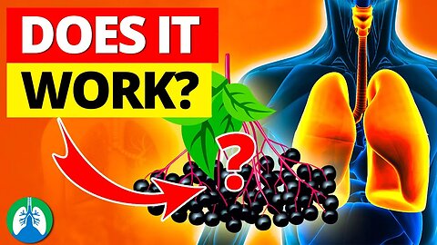 How to BOOST Your Lungs and Immunity with Elderberry ❓