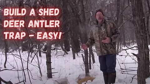 Building a shed deer antler trap
