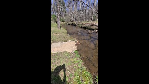 Stream in the park