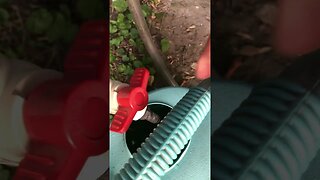 Watering with a leaky container