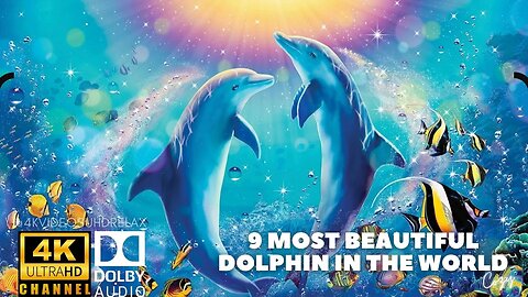 9 MOST BEAUTIFUL DOLPHIN IN THE WORLD 4K ULTRA HD