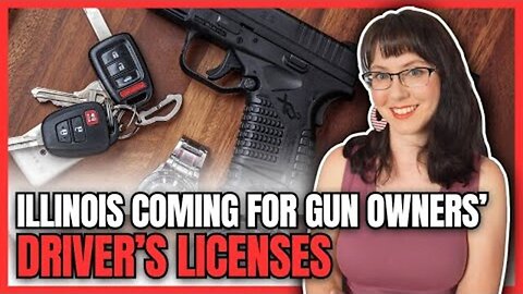 Illinois Coming For Gun Owners' Driver's Licenses