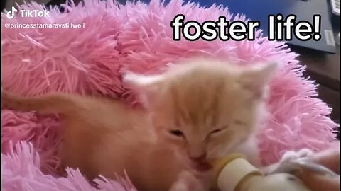 Foster Life