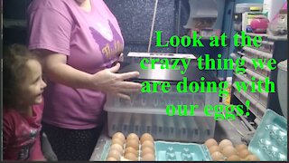 7 Acres Homestead-Episode #7-Look at this crazy thing we are doing with our eggs!