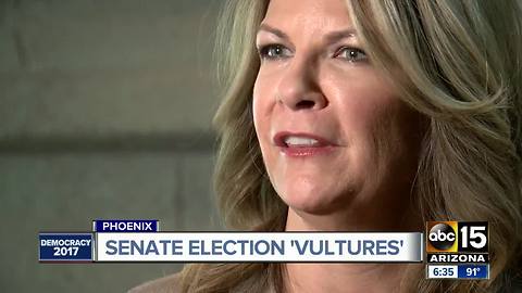 Kelli Ward and the Arizona "vultures"