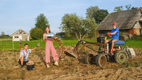 HUGE Potato Harvest for our Homestead!?