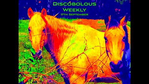 Discobolous Weekly - 17th September - 2022