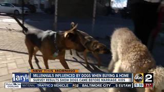 Dogs influence millennials when buying a home