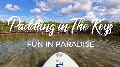 The Beauty of Key Largo on a Paddleboard Adventure 🌊🏝️