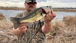 Using the Swimbait for Quality Winter Bass