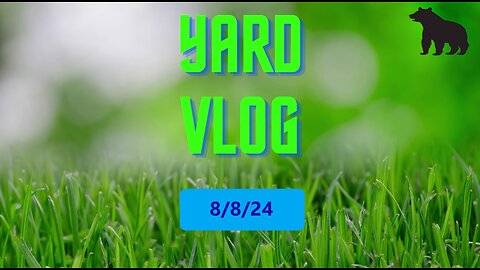 Yard Vlog 8/8/24