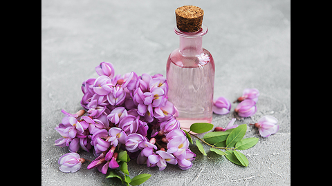 Essential Oils 101: Your Beginner's Guide to Use Them Properly