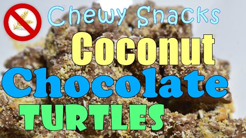 Chewy Snacks!! Coconut Chocolate Turtles