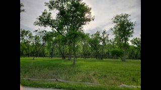 05-18-2021 Peaceful nature drive/riding through DeSoto National Wildlife Refuge park