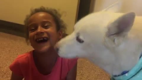 LIttle girl giggles from onslaught of doggy kisses