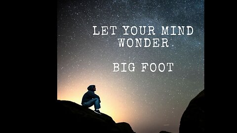 Let Your Mind Wonder #10