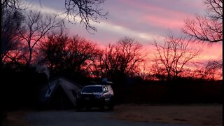 Mornings in the Big Tent, Gunshots, and Bison Herds!