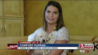 Omaha couple breeds puppies with a purpose
