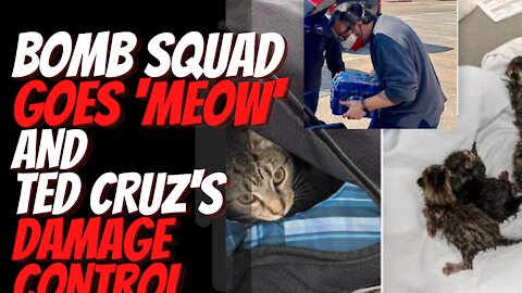 Bomb Squad Called For Suspicious Bag Full of Kittens and Ted Cruz in Damage Control After Vaca