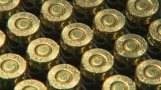 Wayne Co. Commissioner proposes 'Bullet Bill' to limit sale of bullets