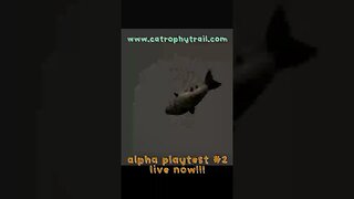 Alpha Playtest #2 live now! www.catrophytrail.com