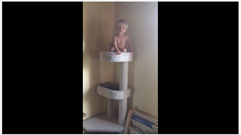 Fearless Baby Girl Exhibits Impressive Climbing Skills