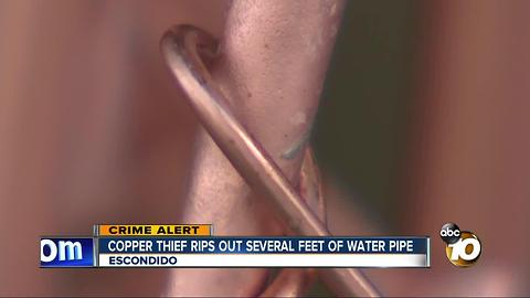 Copper thief rips out several feet of water pipe