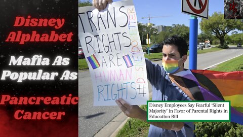 Disney Groomers Won't Give Up on Pushing the Narrative, Majority of Employees Agree With the Law!