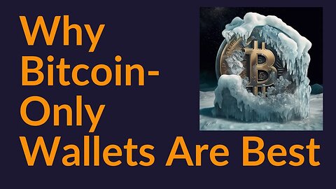 Why Bitcoin-Only Wallets Are Best