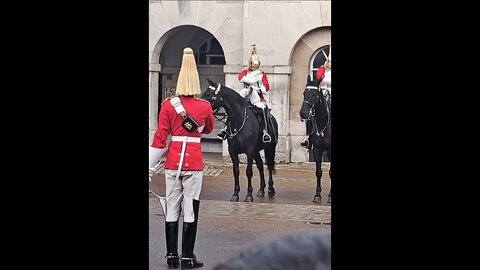 Boxmen Dismount the horse #horseguardsparade