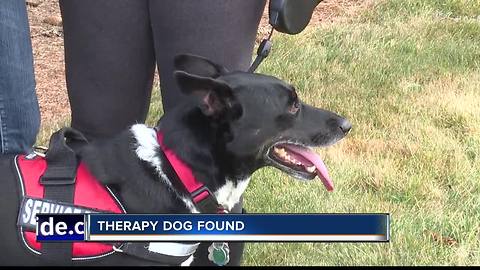 Canyon County family reunited with service dog