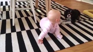 Pup and Baby are BFFs!