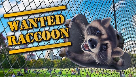 Wanted Raccoon with Me
