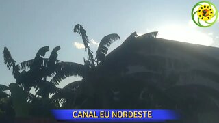 EM MAIS UM DIA DE CAMINHADA PELA CIDADE, MOSTRANDO ALGUNS PONTOS